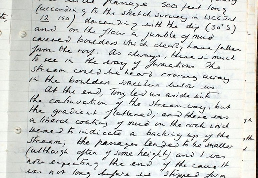 Page 021